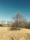 Gardner East Road photo